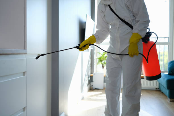 Best Mold Damage Repair  in Franklin, TN